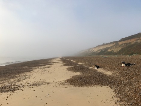 misty beach.jpg